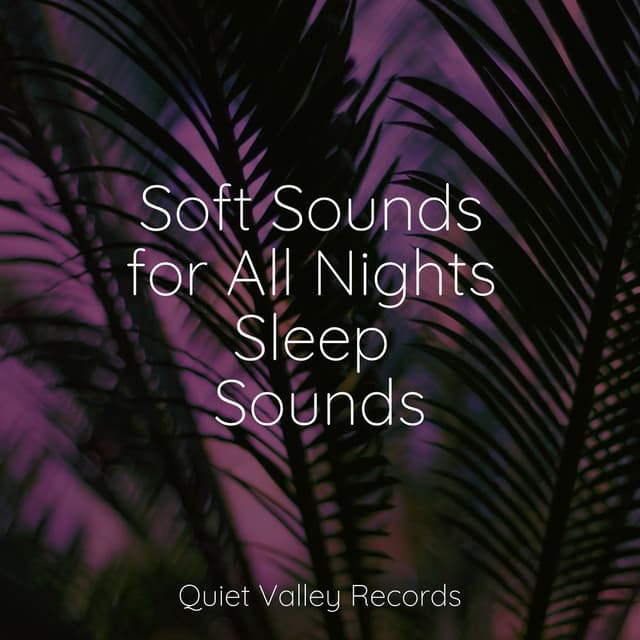 Soft Sounds for All Nights Sleep Sounds