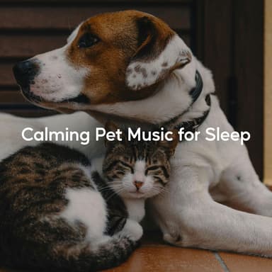Calming Pet Music for Sleep