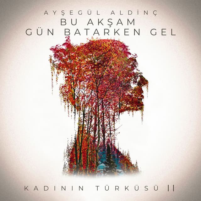 Bu Akşam Gün Batarken Gel (Kadının Türküsü II)