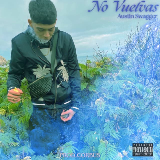 No Vuelvas