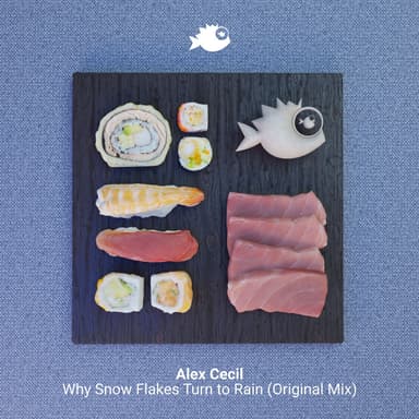 Why Snow Flakes Turn to Rain (Radio-Edit)