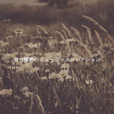 育つ植物のミュージックコレクション