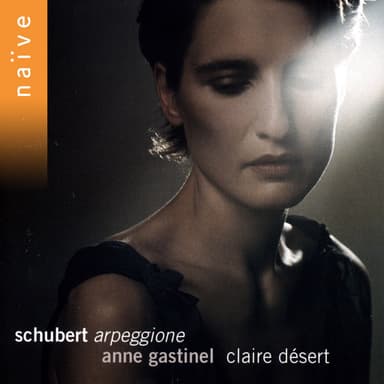 Violin Sonata in D Major, Op. 137 No. 1, D.384: I. Allegro molto (Arr. for Arpeggione and Piano)