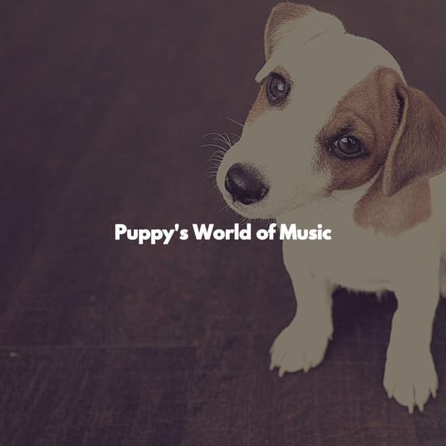 Puppy's World of Music