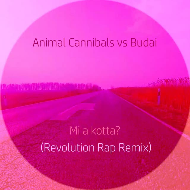 Mi a kotta? (Revolution Rap Remix)