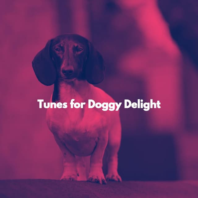 Tunes for Doggy Delight
