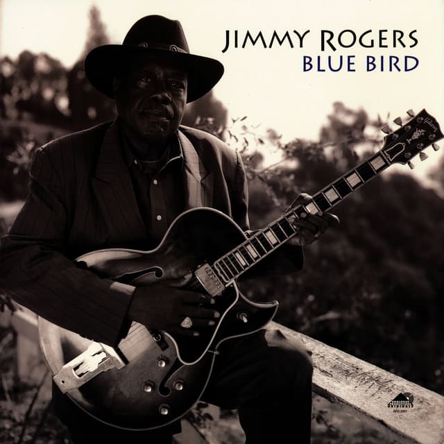 Blue Bird
