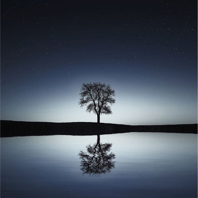 50 Peaceful Melodies for Absolute Peace and Relaxation