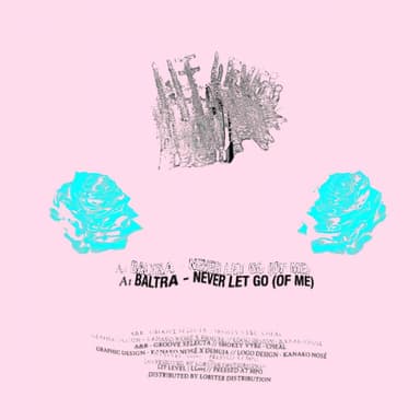Never Let Go (Of Me) (Slowed Extended Version)