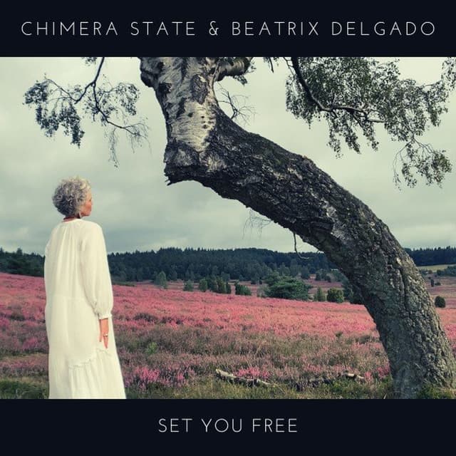 Set You Free