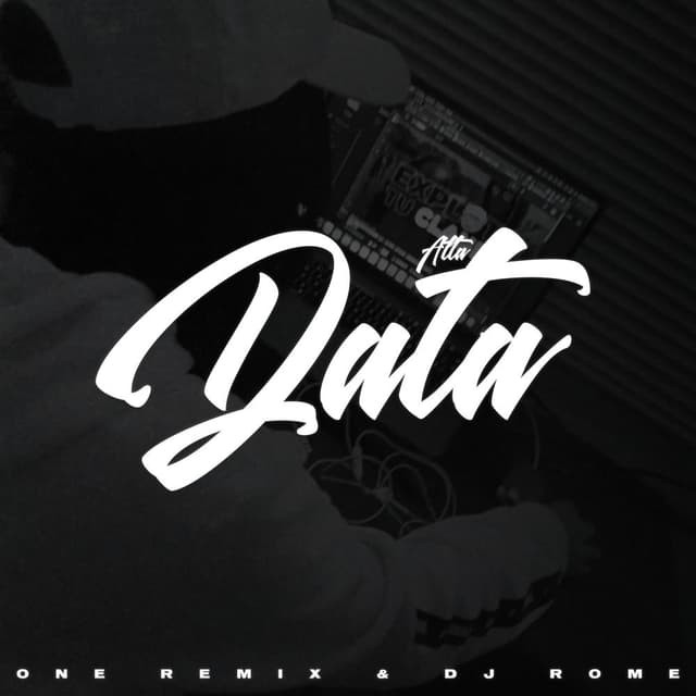 Alta Data