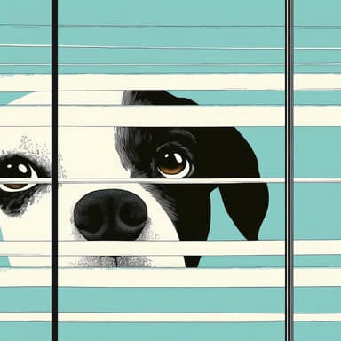 Sogni Profondi: Il Gioco Nel Mondo Canino