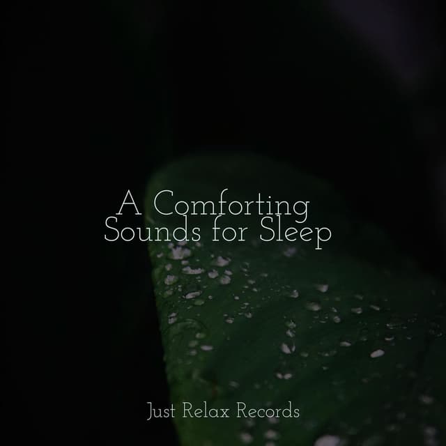 A Comforting Sounds for Sleep