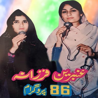 86 Program