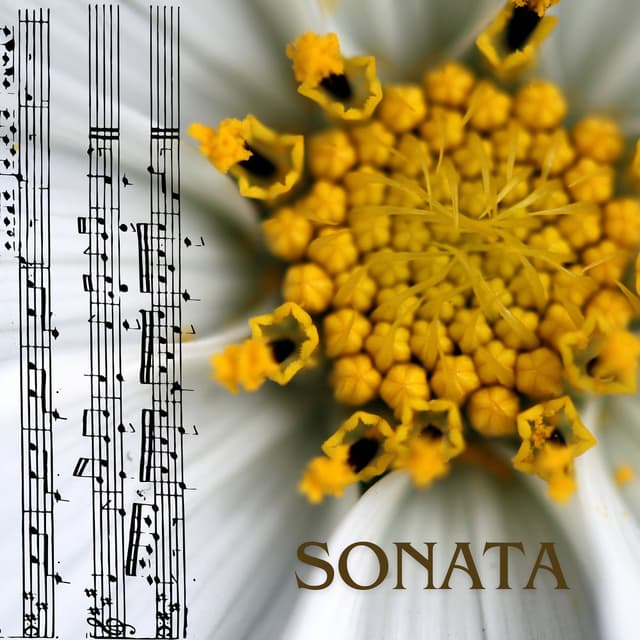 Sonata (Remastered 2020)