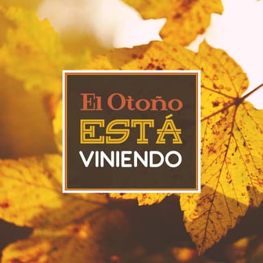 El Otoño Está Viniendo - Relajación Música, Chakra Equilibrio, Yoga Fondo, Meditación, Zen Estado
