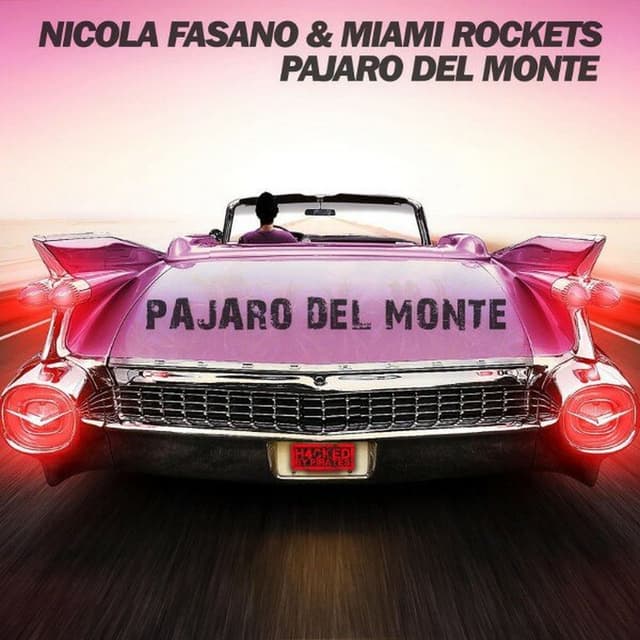 Pajaro del Monte