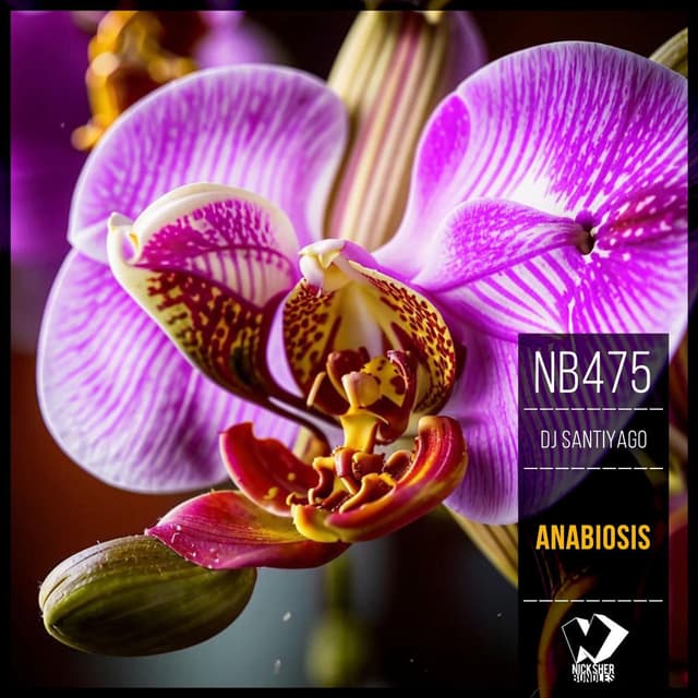 Anabiosis