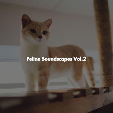 Feline Soundscapes Vol.2