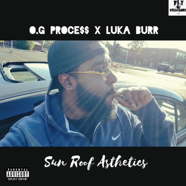 Sun Roof Asthetics
