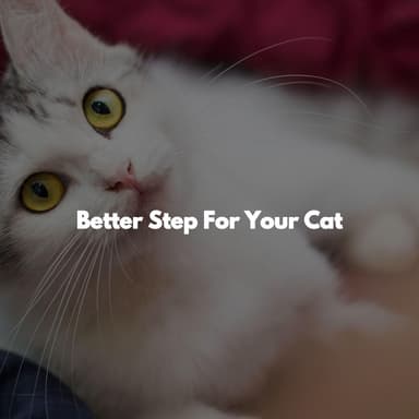 Better Step For Your Cat