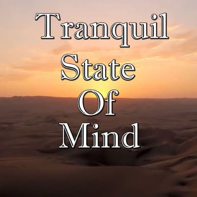 Tranquil State Of Mind, Vol.2