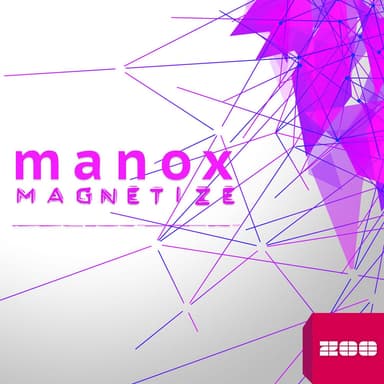 Magnetize (Remixes)