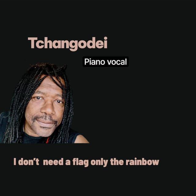 I Don T Need a Flag Only the Rainbow (Piano Vocal)