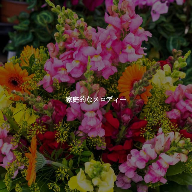 家庭的なメロディー