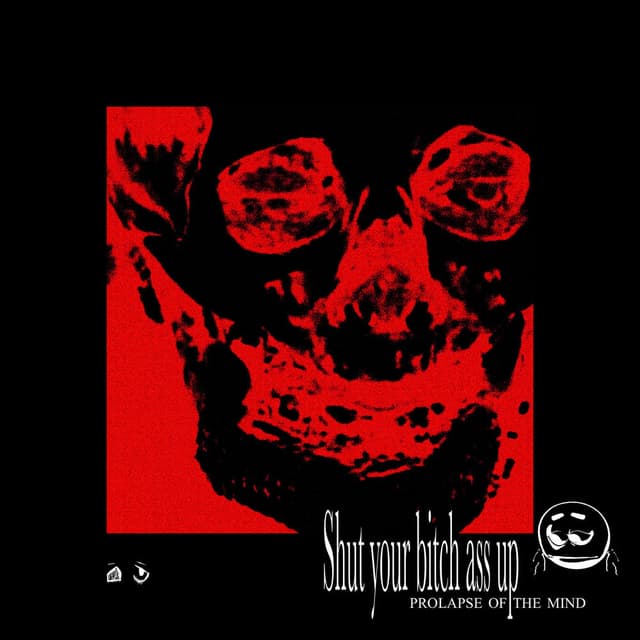 Shut Your Bitch Ass Up: PROLAPSE OF THE MIND