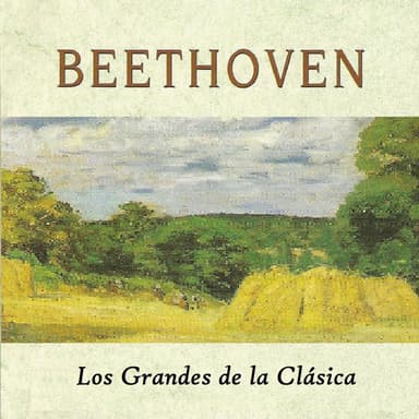Violin Concerto in D Major, Op. 61: I. Allegro ma non troppo