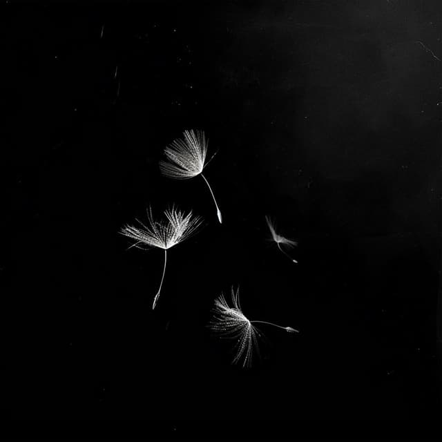 Sur les Ailes de l'Oubli
