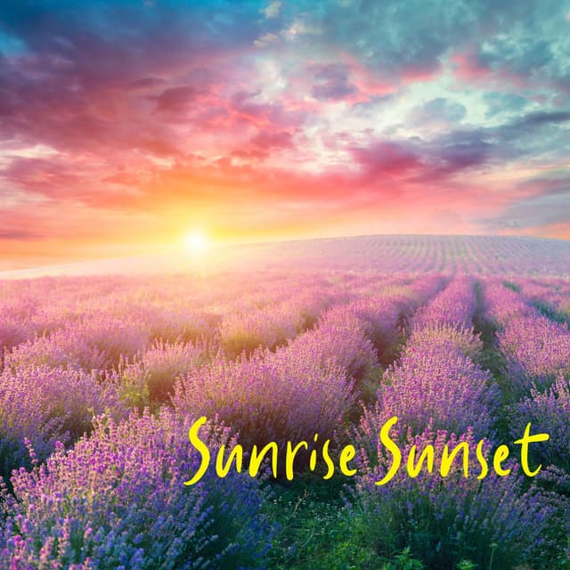 Sunrise Sunset
