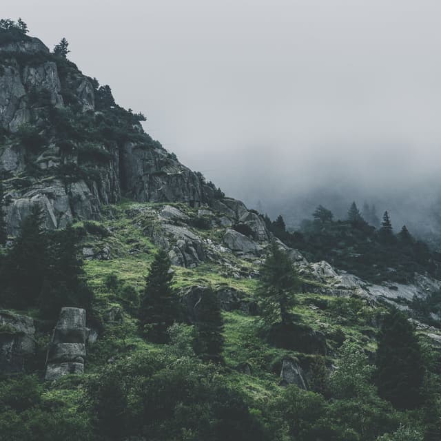 50 Songs for Spa & Calming