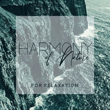 Harmony of Nature for Relaxation - Find a Way to Heal Your Soul