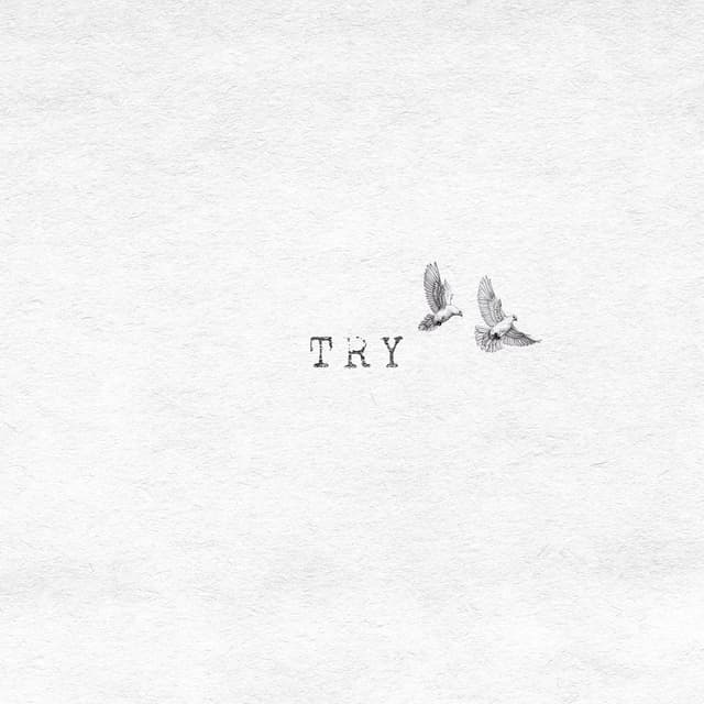 Try (Duet Version)