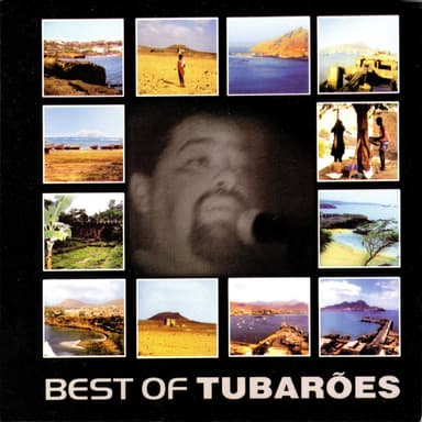 Best Of Tubarões
