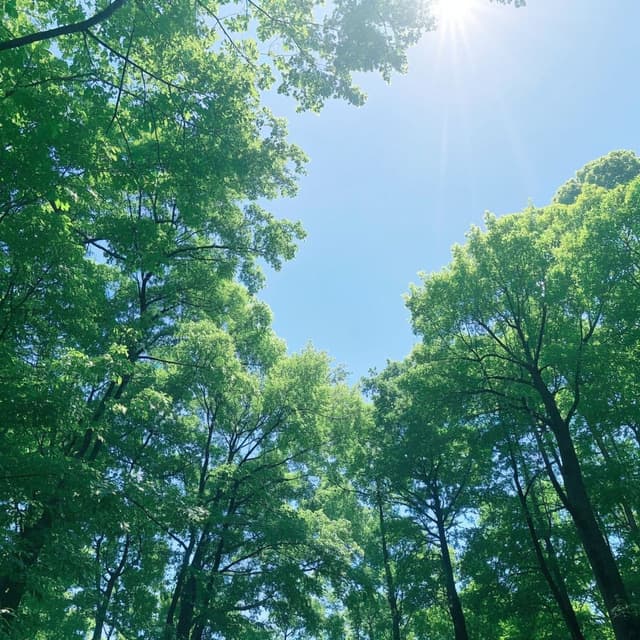 Nature's Solace