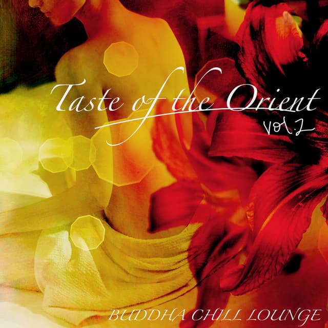 Taste of the Orient Buddha Chill Lounge, Vol. 2 - Sexy Lounge Music & Indian Oriental Chillout, Asian Fashion Wine Bar Music Café
