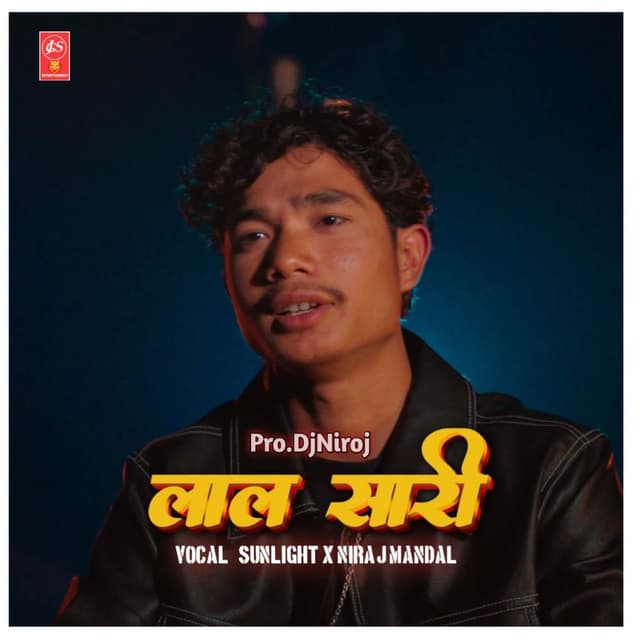 Laal Saari