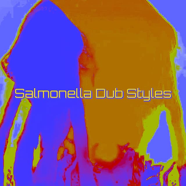 Salmonella Dub Styles