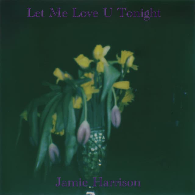 Let Me Love U Tonight
