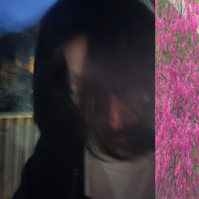 What Is This 2