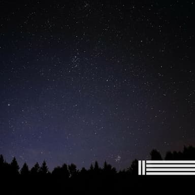 Night Sounds Compilation