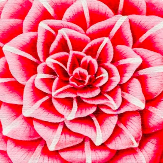 ROSITA (Latin House)