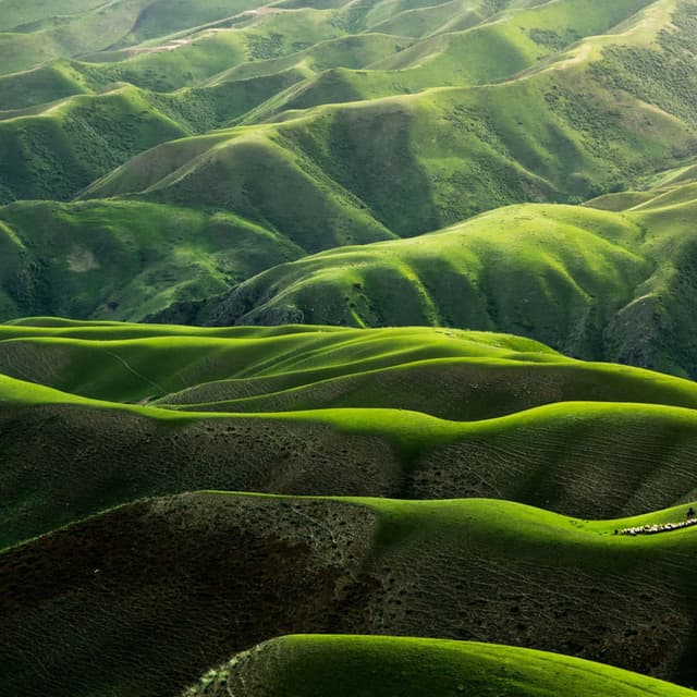 Nature Mantra
