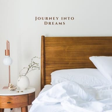 Journey into Dreams