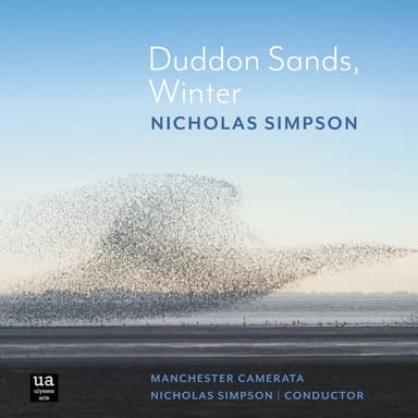 Absence of Clouds: III. Duddon Sands, Winter