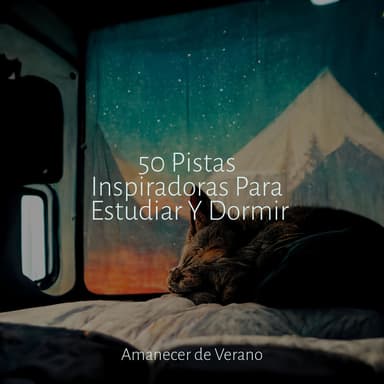 50 Pistas Inspiradoras Para Estudiar Y Dormir