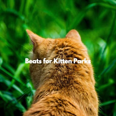 Beats for Kitten Parks